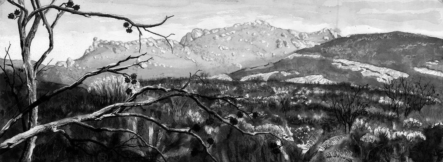 Mt Arid from Thomas Fishery Campsite